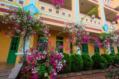 Ấm áp nghĩa tình ngày Giỗ Tổ Hùng Vương: Phụ huynh và học sinh khối 9 trường THCS Hải Xuân tặng giàn hoa giấy rợp bóng mát